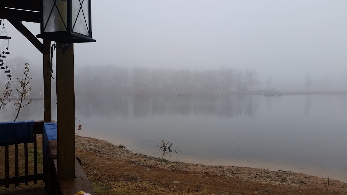 Mustang Resort Inc photo 3