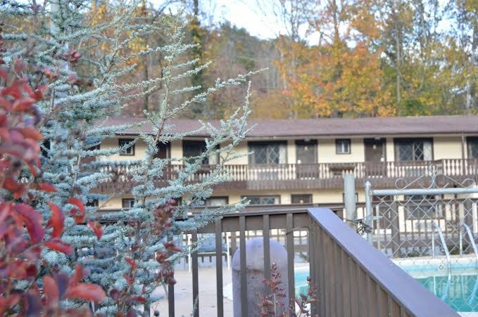 Brookside Lodge photo 3