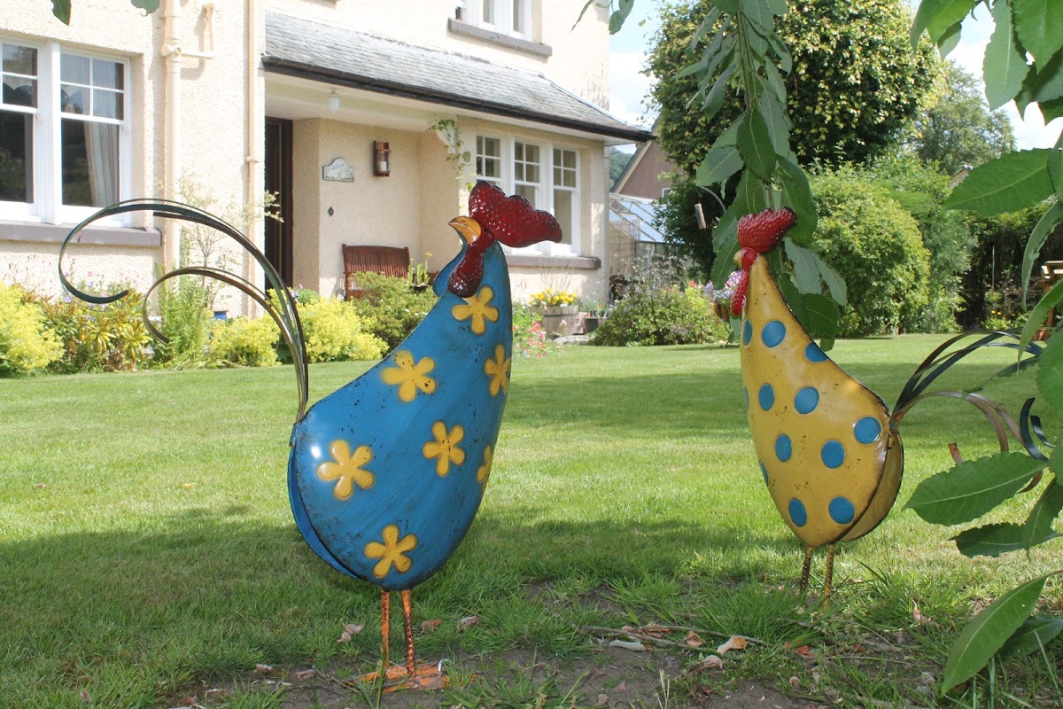 Dalgreine Guesthouse photo 3