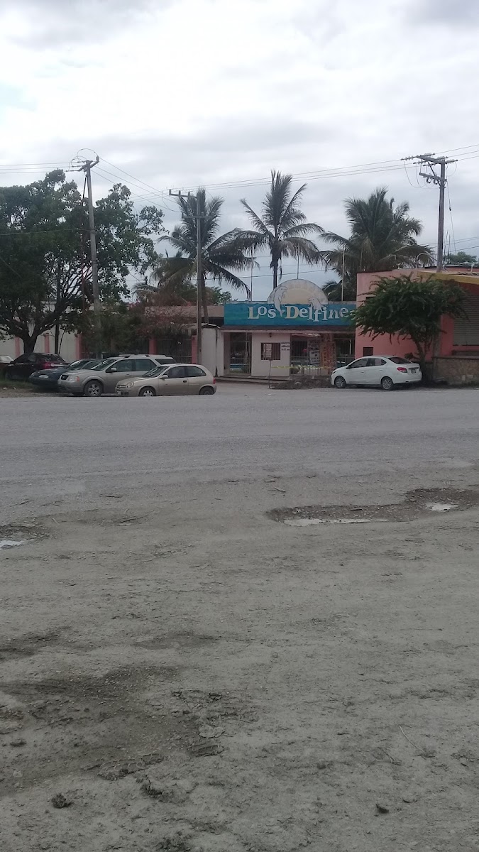 Alberca Los Delfines photo 3