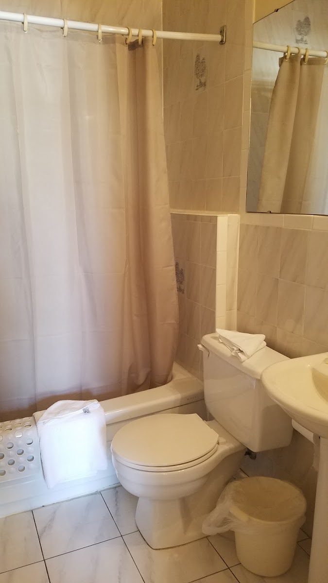 Olympia Motel photo 2