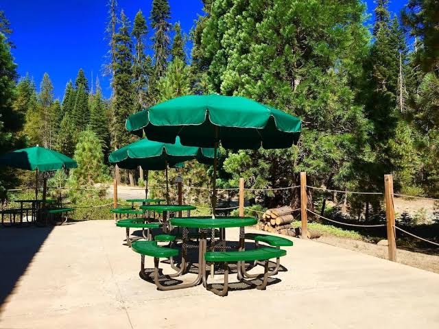 Stony Creek Lodge photo 3