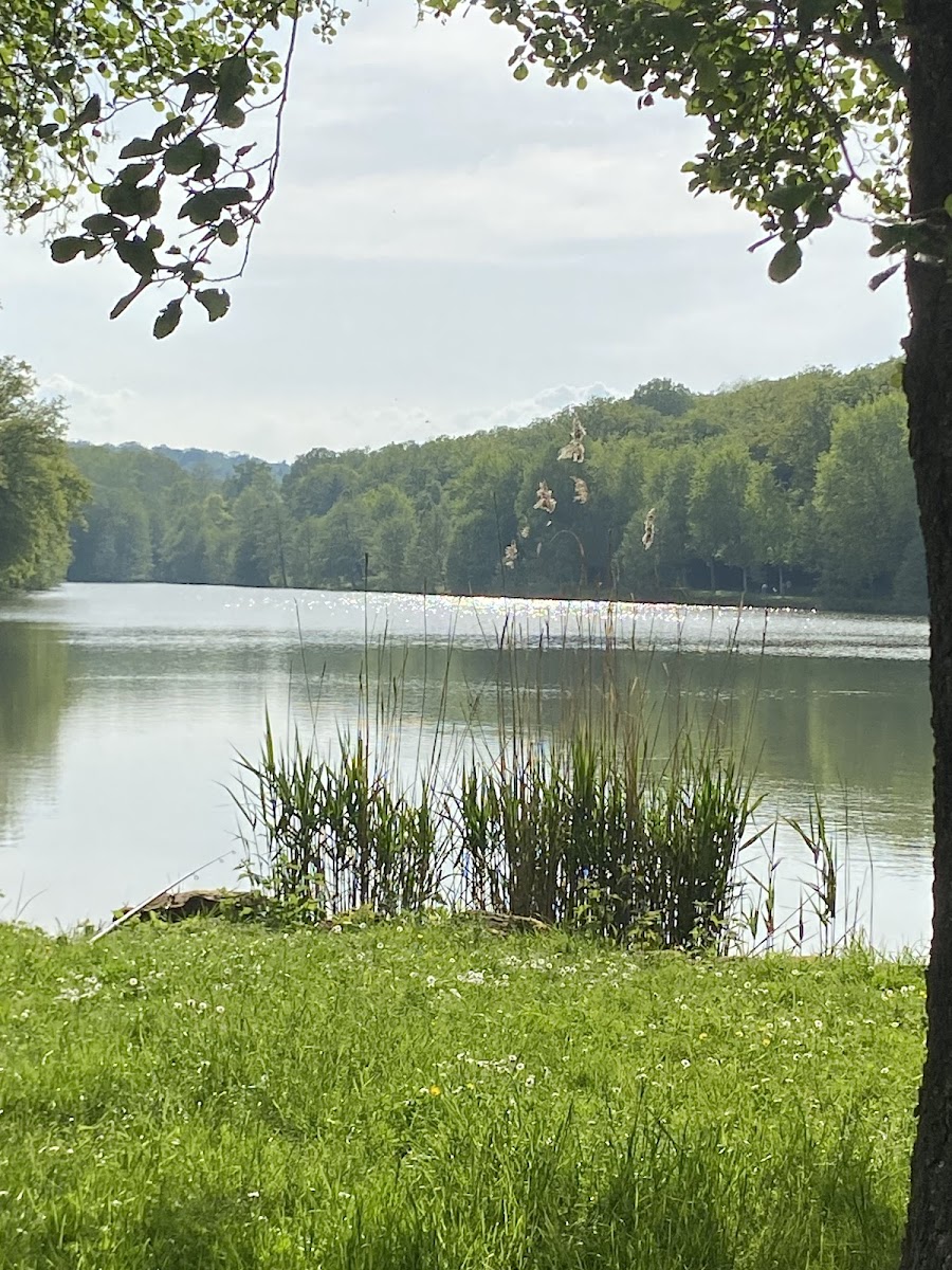 Lacs de la Folie