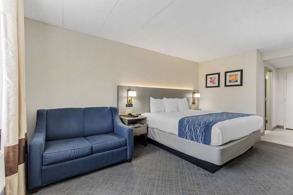 Comfort Inn Herndon-Reston photo 2