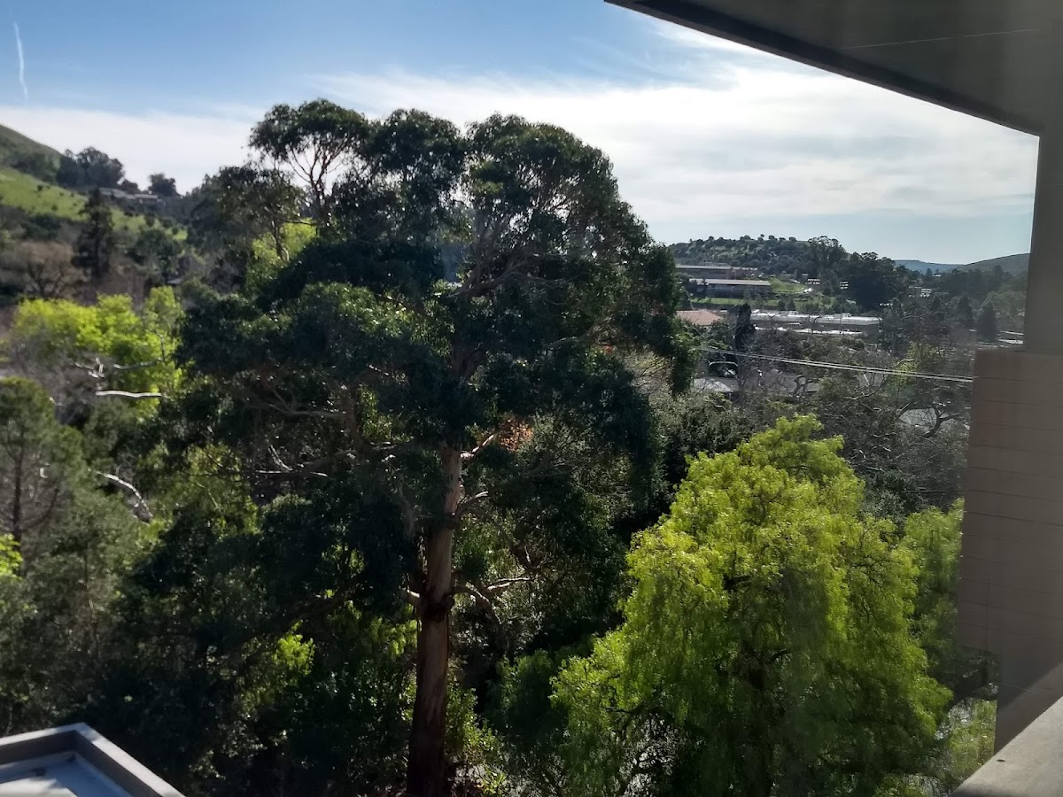 La Quinta Inn & Suites by Wyndham San Luis Obispo Downtown photo 3