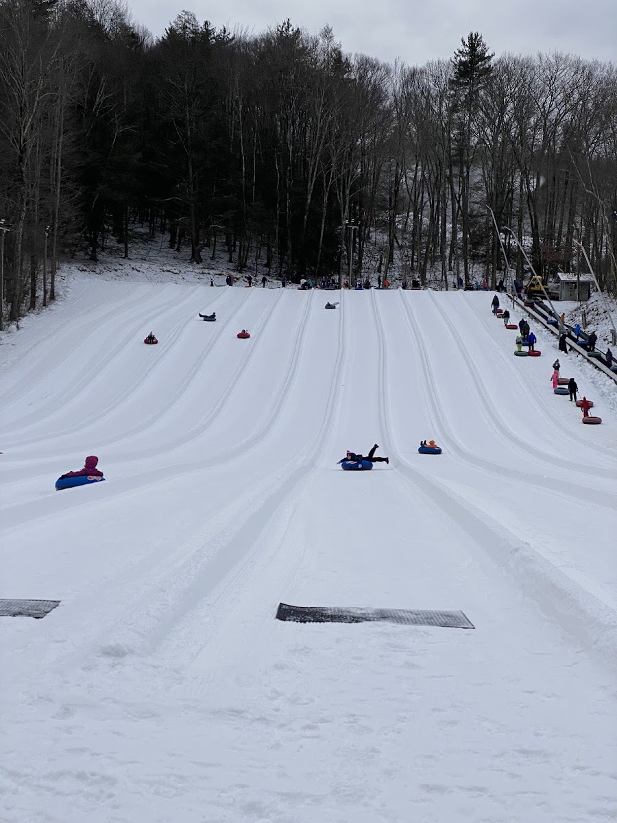 Ski Butternut