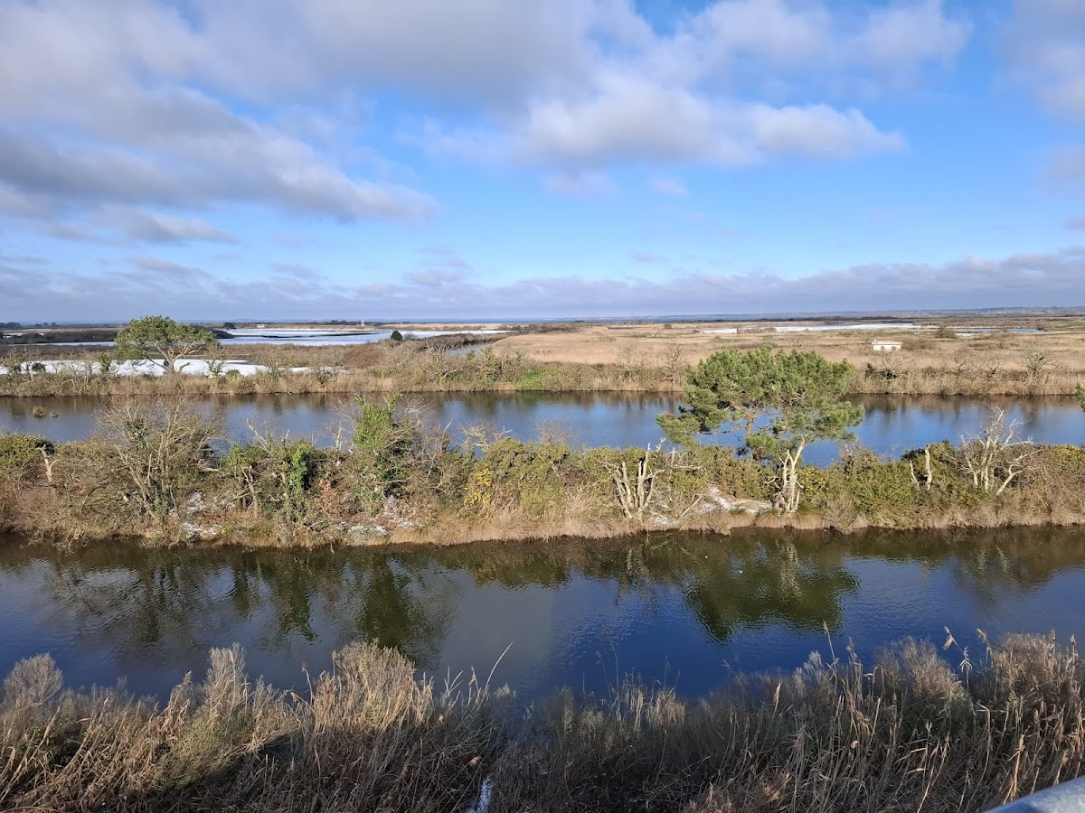 Réserve Ornithologique Du Teich