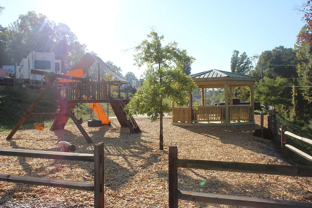 Halesford Harbour Resort photo 3