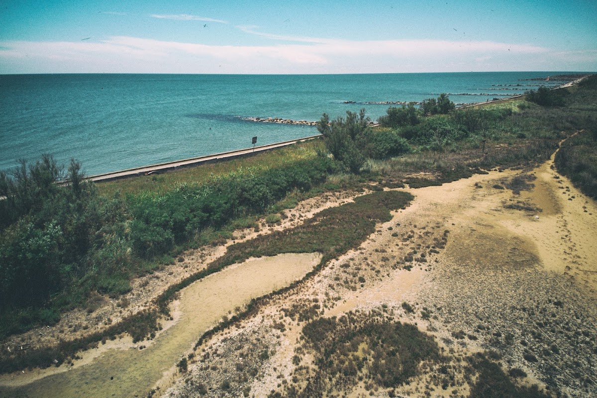 Laguna del Mort