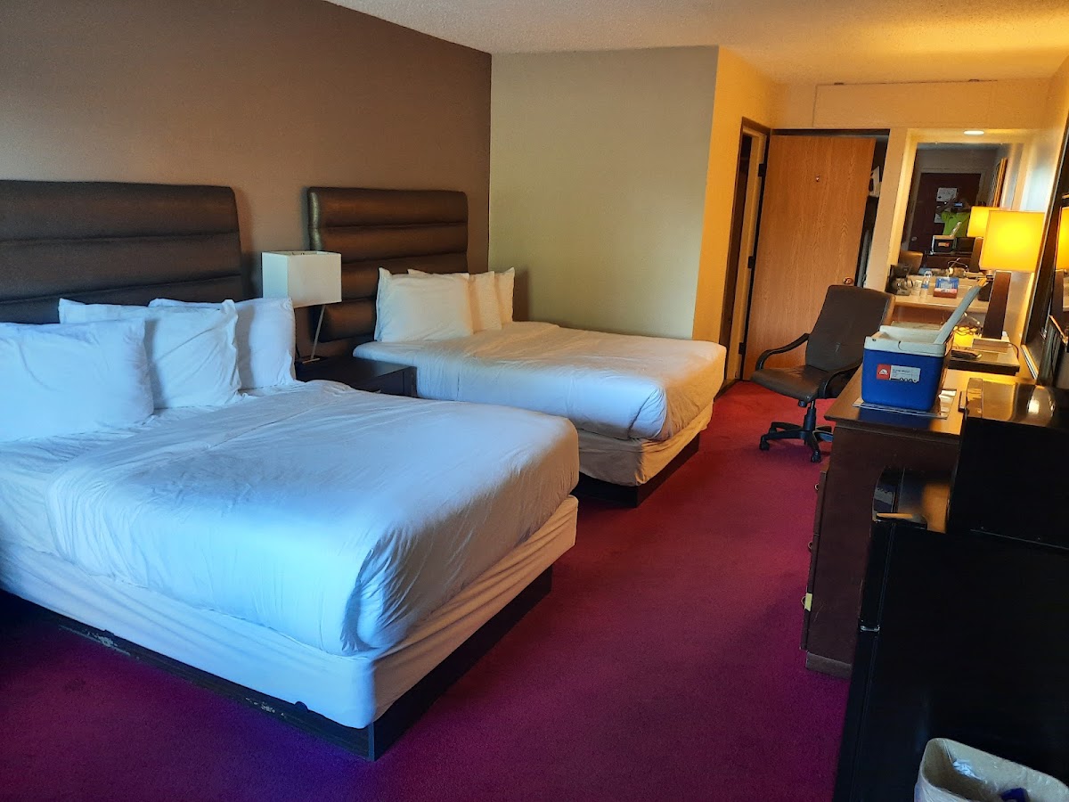 Dollinger's Motor Inn photo 2