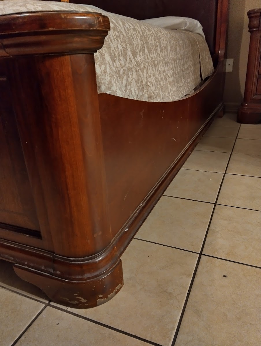 Pharr Plaza Hotel photo 3