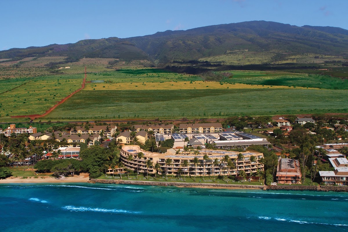 Aston Paki Maui