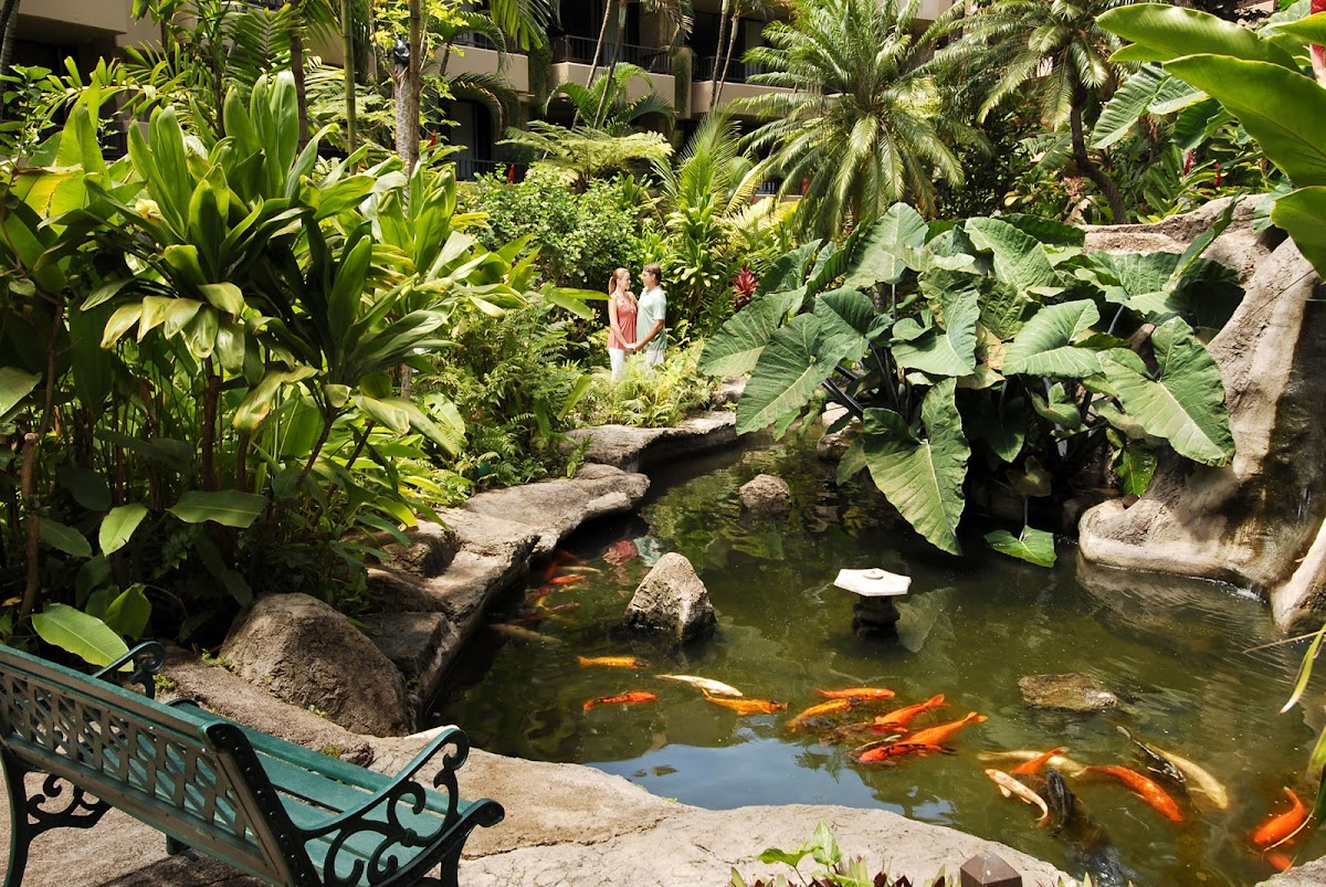 Aston Paki Maui photo 2