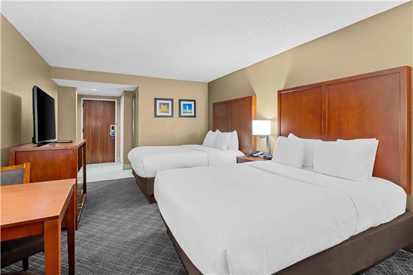 Comfort Inn University Area photo 2