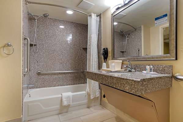 Comfort Inn University Area photo 3