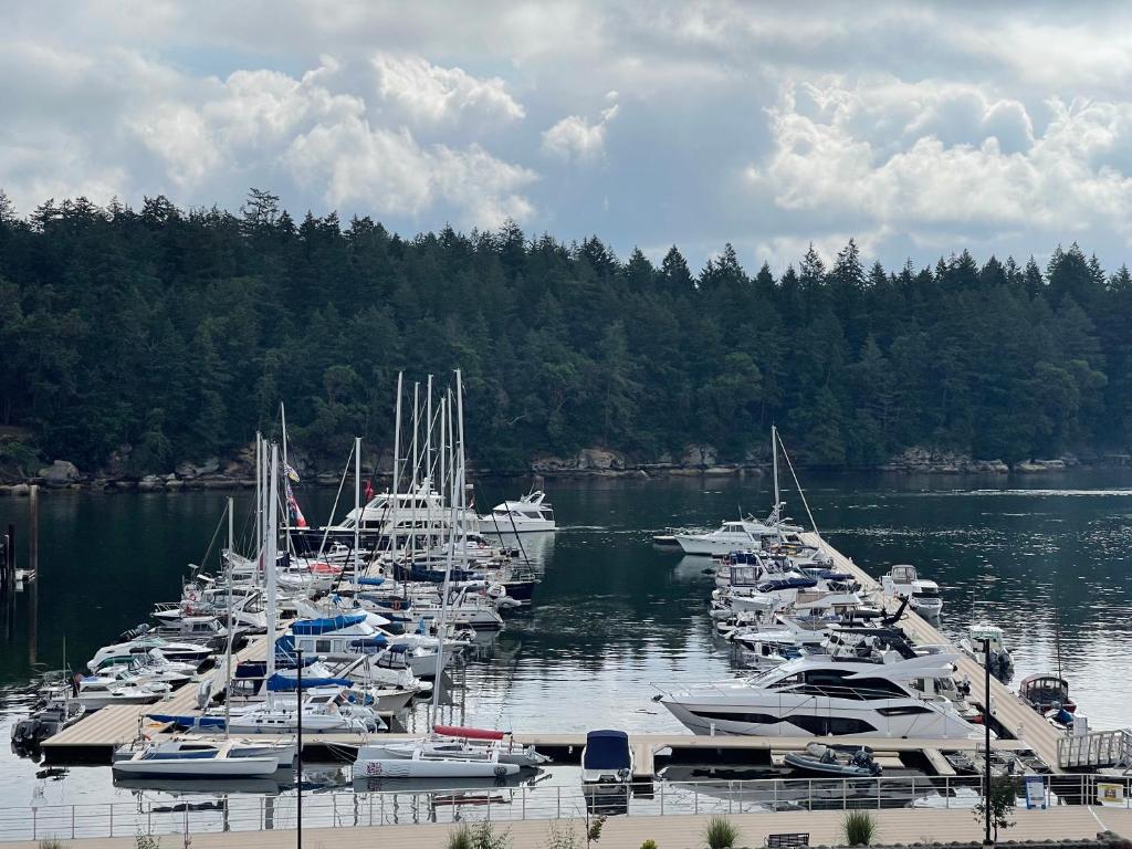 Waterfront Suites & Marina