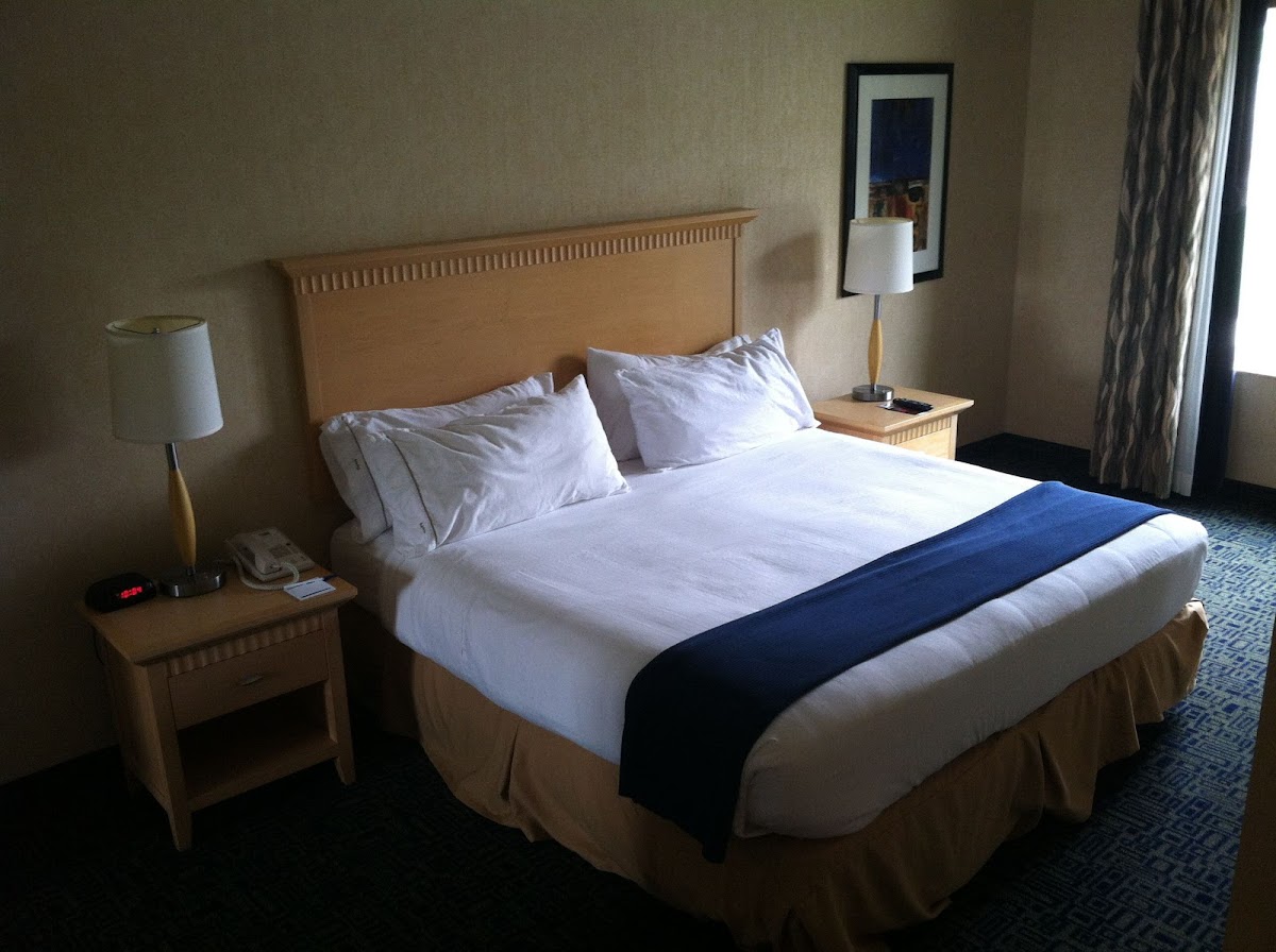 Holiday Inn Express & Suites Sacramento Airport Natomas by IHG photo 3