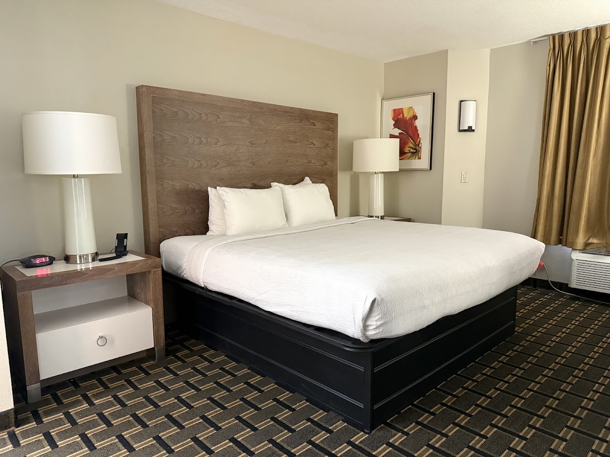Edn Hotel photo 2