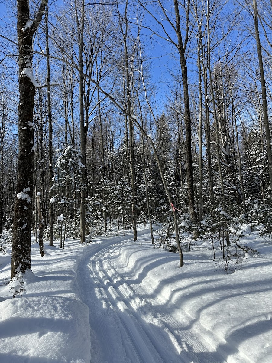 Centre Ski-Neuf