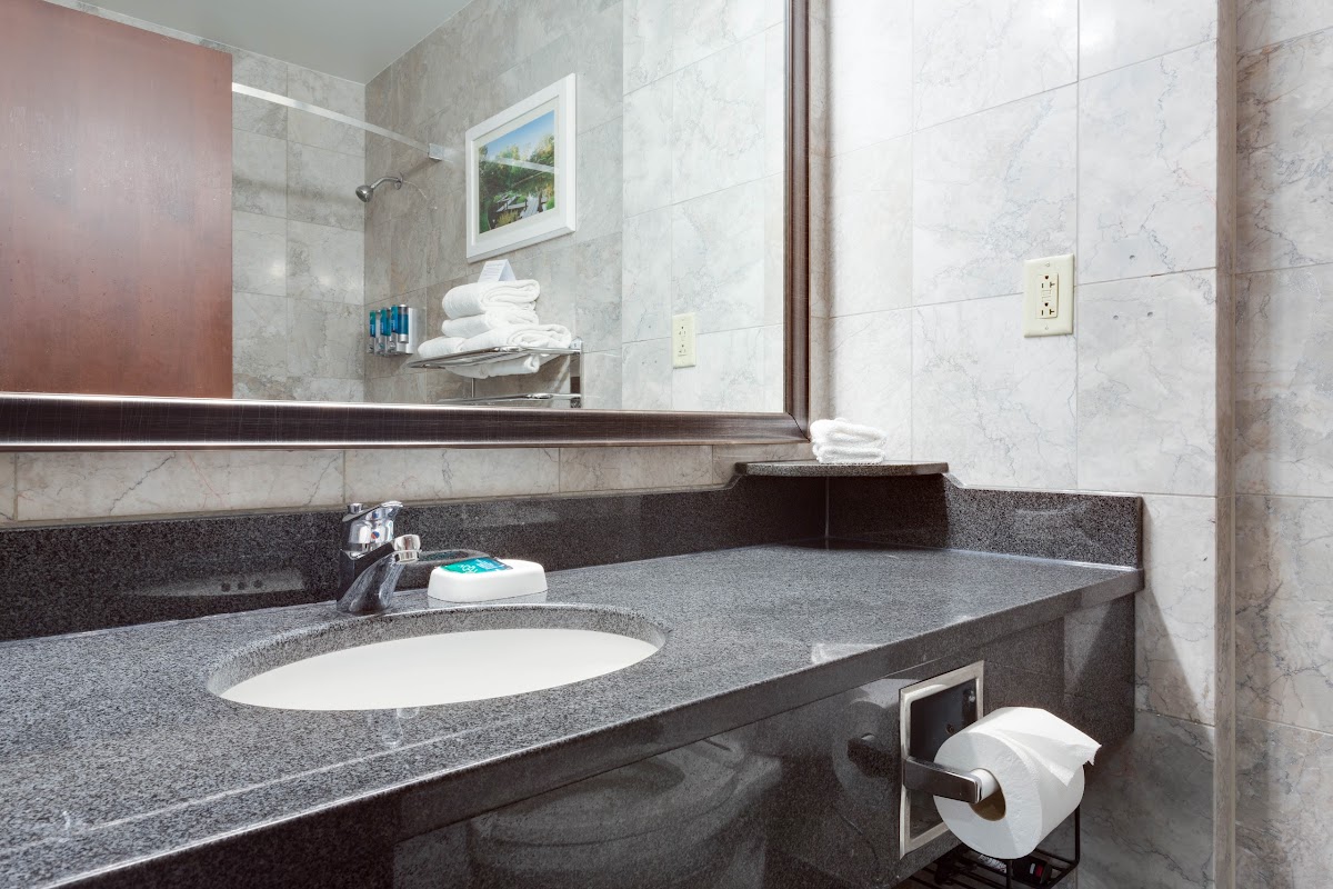 Drury Plaza Hotel St. Louis At The Arch photo 3