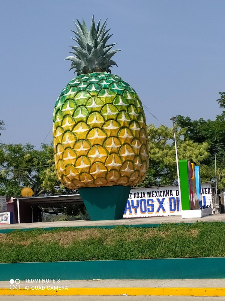 giant pineapple