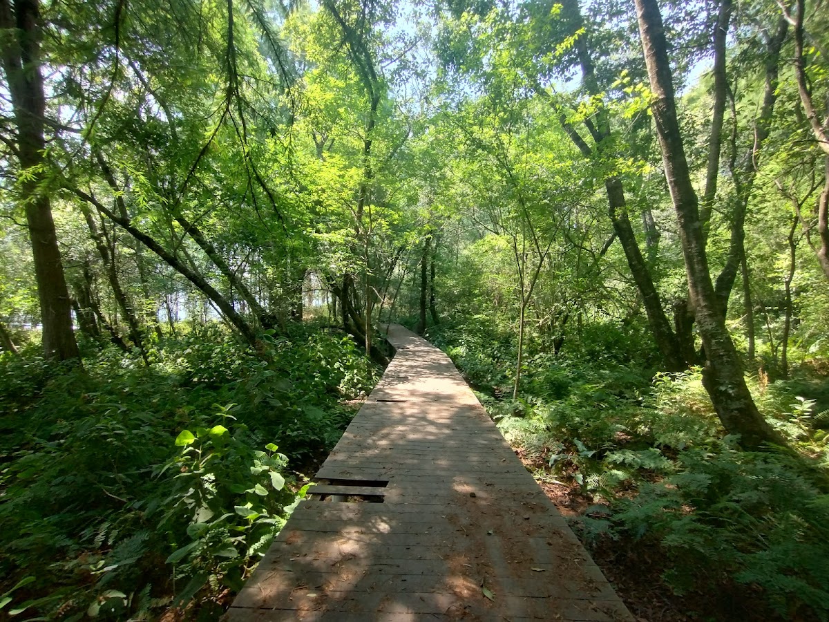 Centro Recreativo Los Sabinos