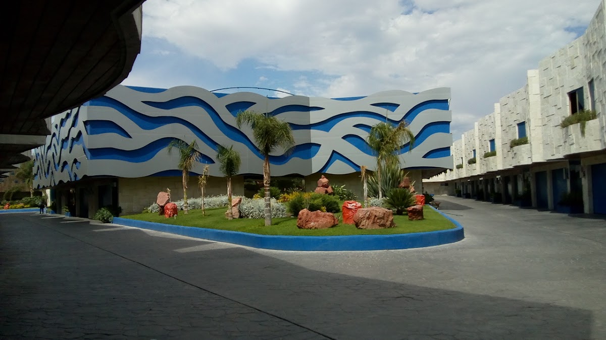 Blue Motel Boutique
