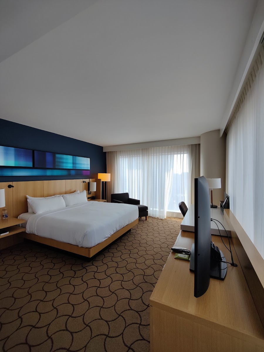 Delta Hotels Toronto photo 3