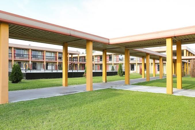 Springwood Hotel photo 3