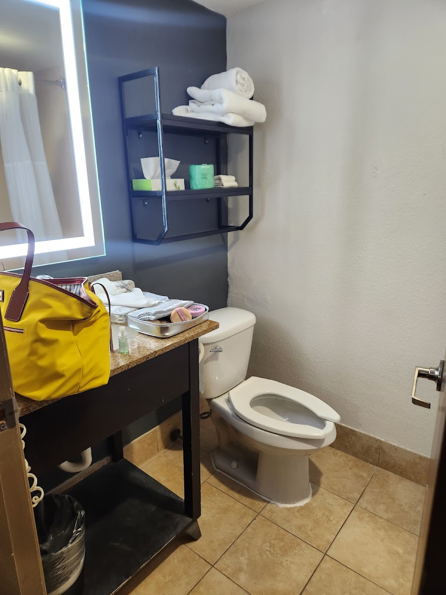 Quality Inn & Suites Greenville near downtown photo 3