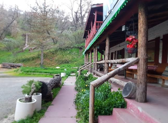 Cyndi's Snowline Lodge
