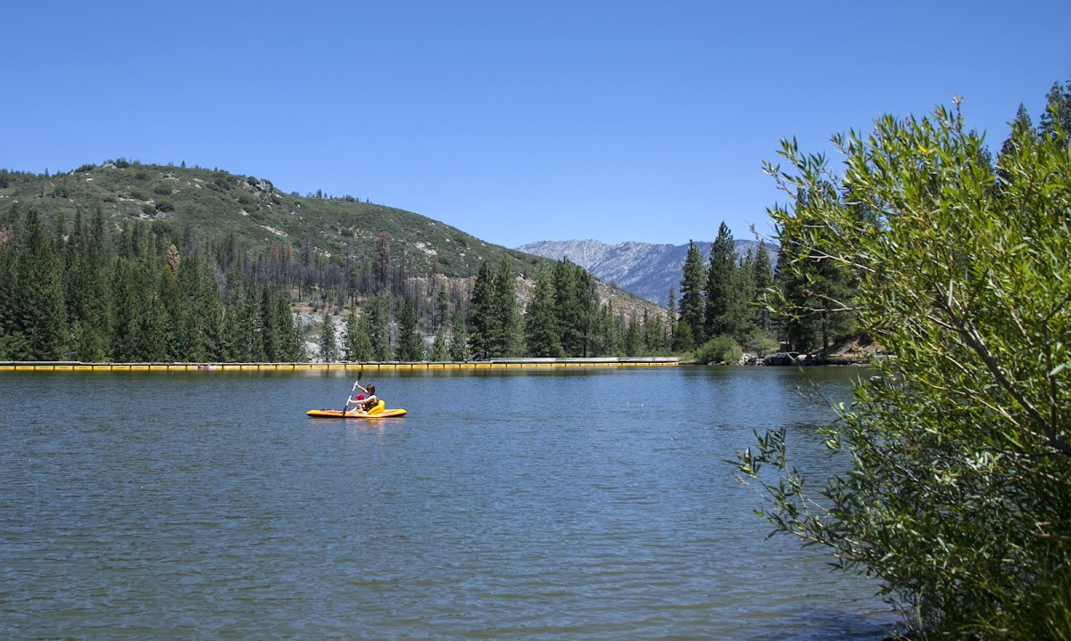 Cyndi's Snowline Lodge photo 3