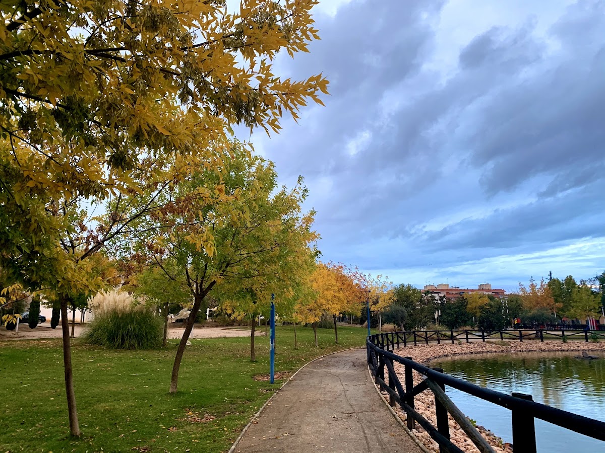 Parque Del Rodeo