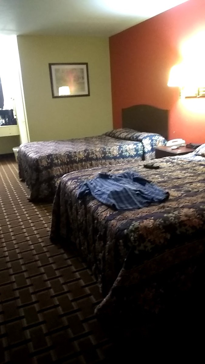 Room 5
