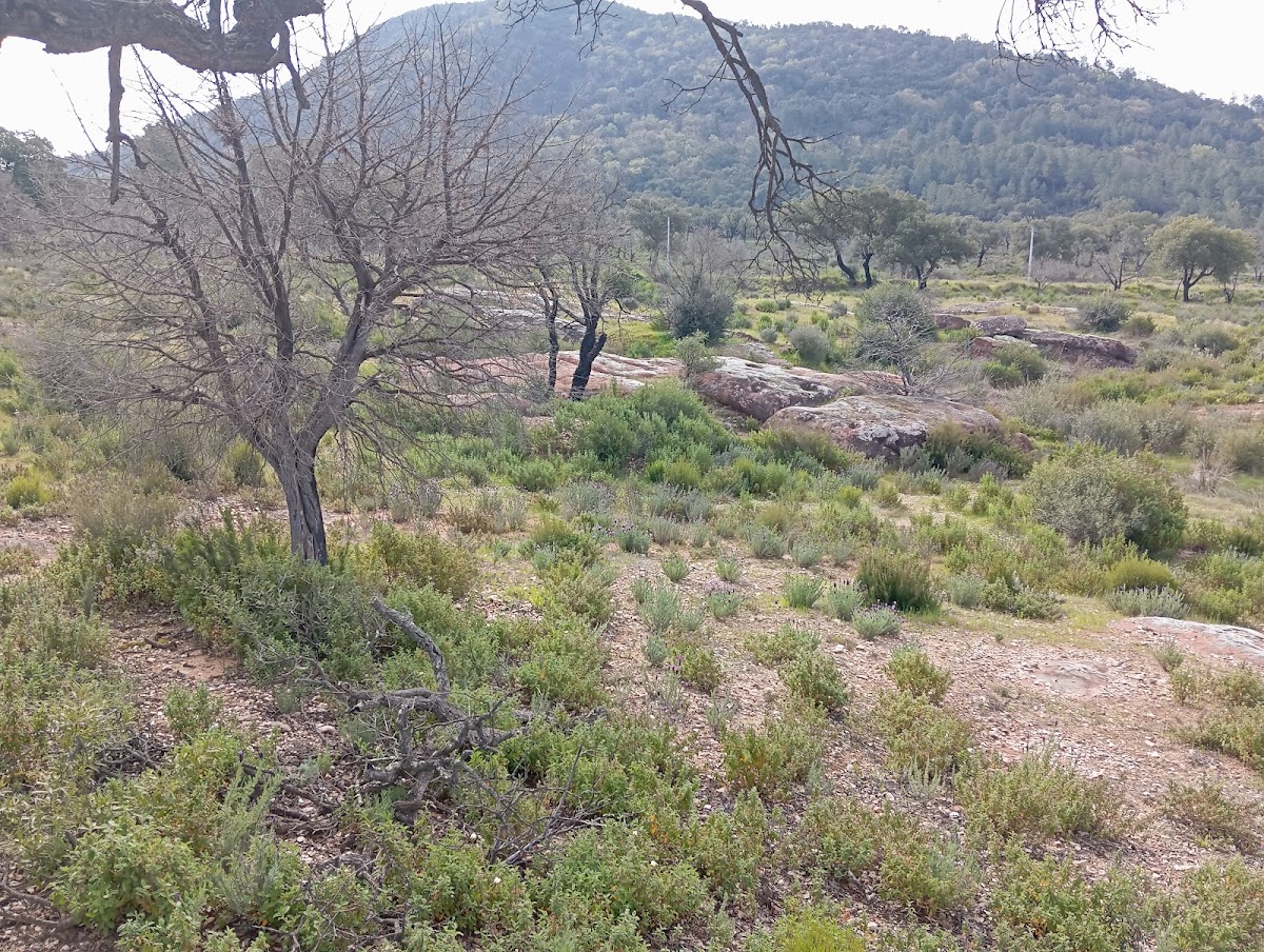 Réserve Naturelle de la Plaine des Maures