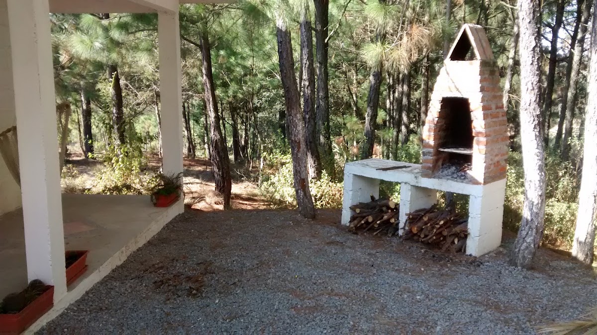 El Bosque de Los Murmullos photo 2