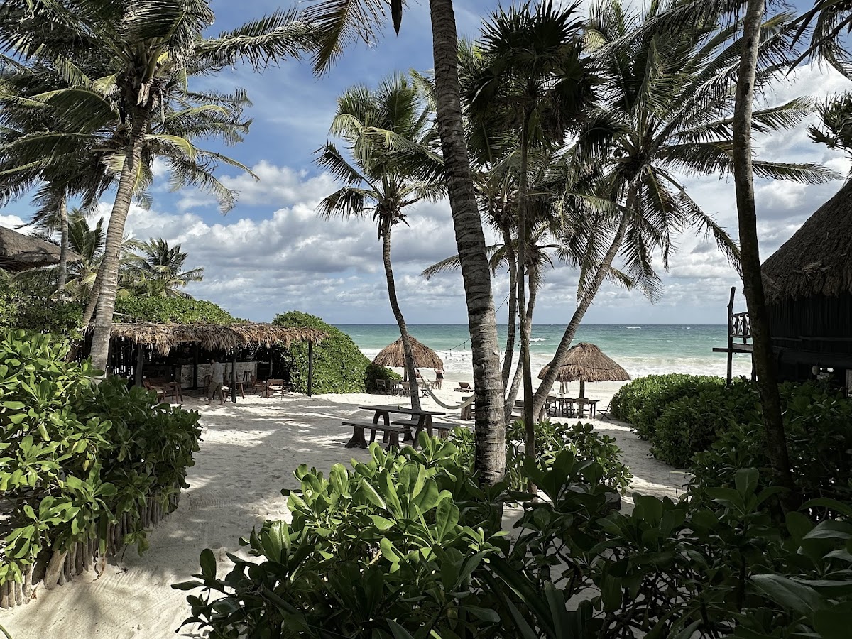 LUV Tulum photo 2