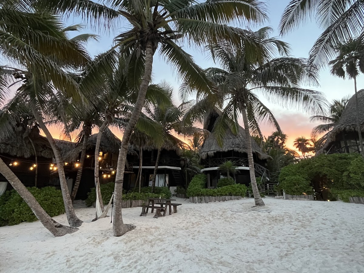 LUV Tulum photo 3