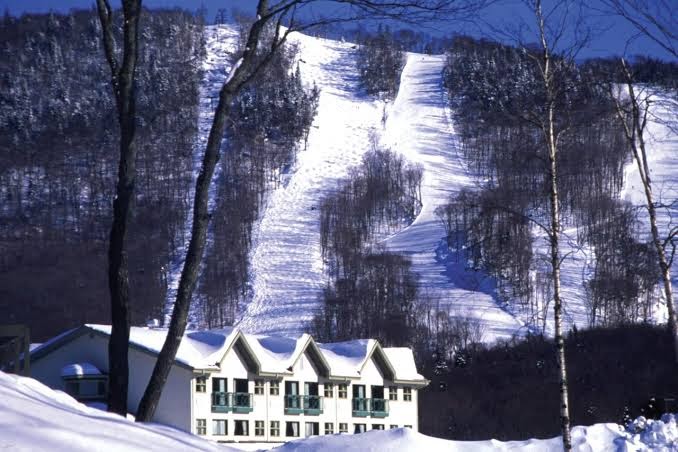 Hôtel Stoneham photo 3