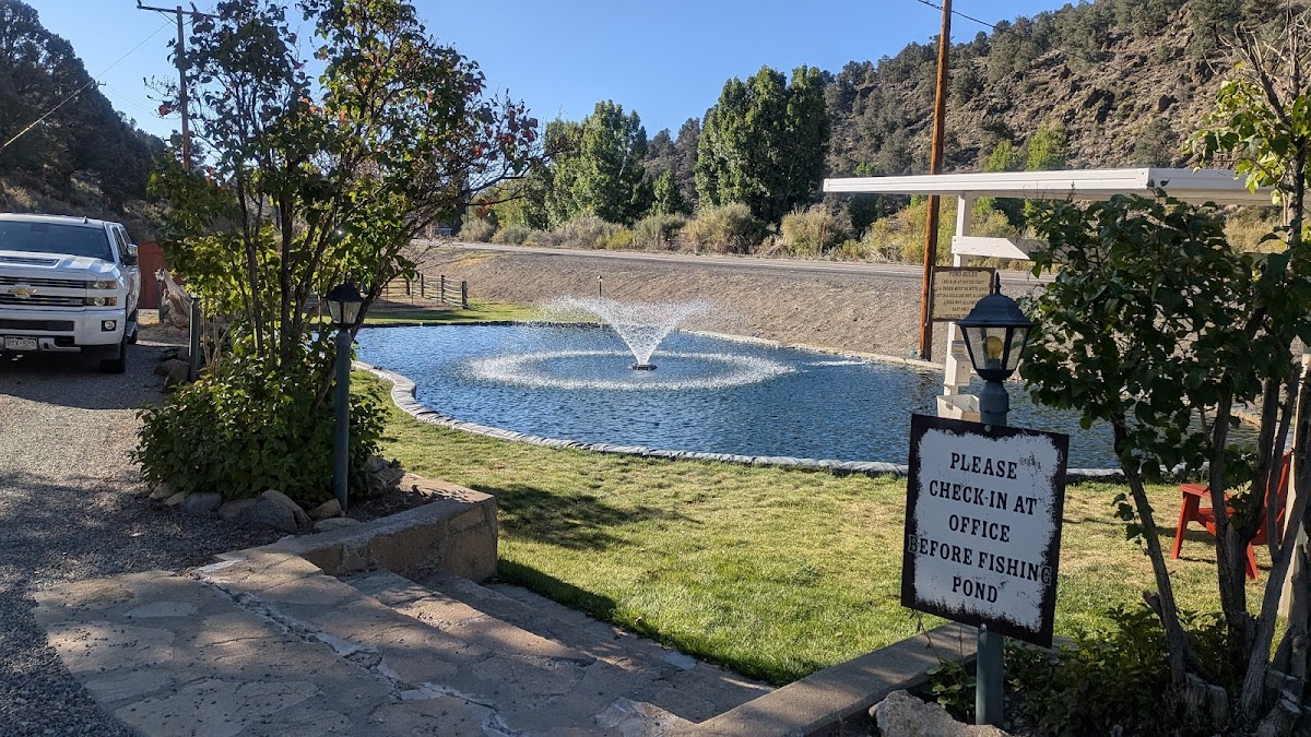 Willow Springs Resort photo 2