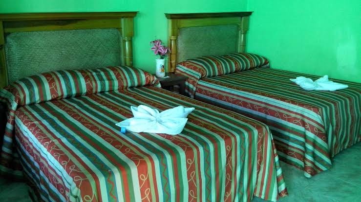 Hotel La Alegria photo 3