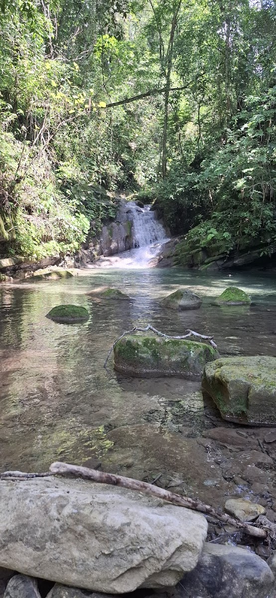 y Recreativo Los Cedros Ecological Park