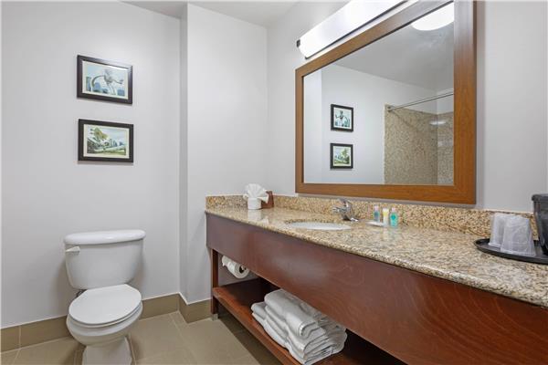 Comfort Suites DFW N/Grapevine photo 3