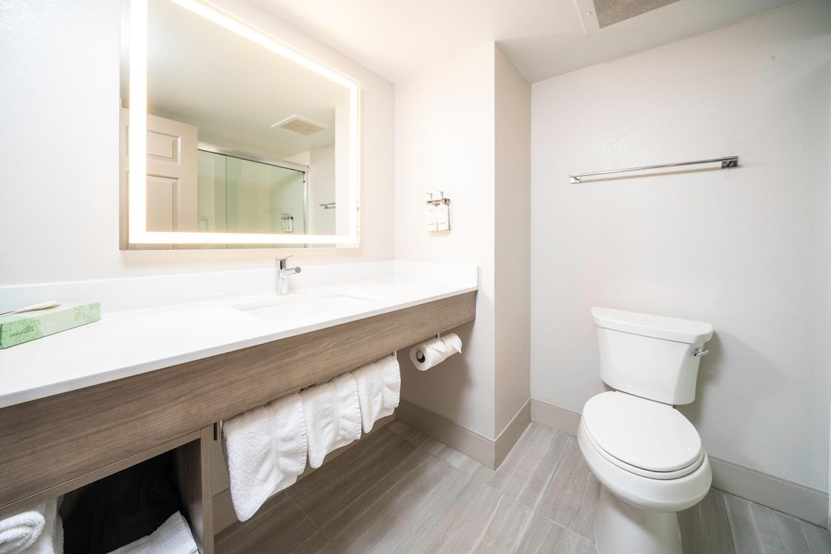 Holiday Inn Express & Suites Atlanta-Johns Creek by IHG photo 3