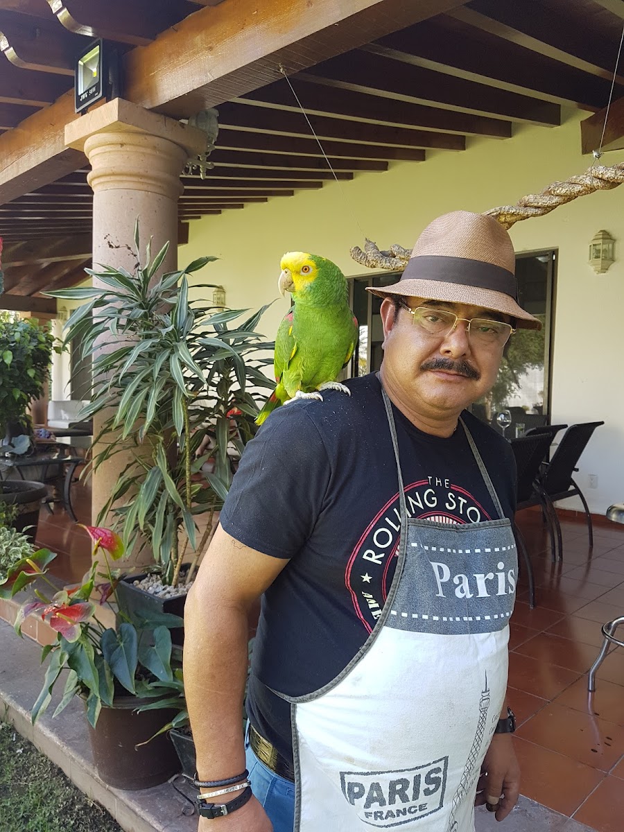 Posada Cocos photo 3