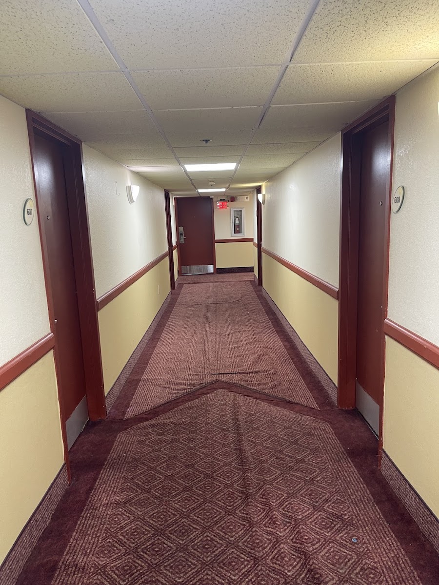La Quinta Inn & Suites by Wyndham New Haven photo 3