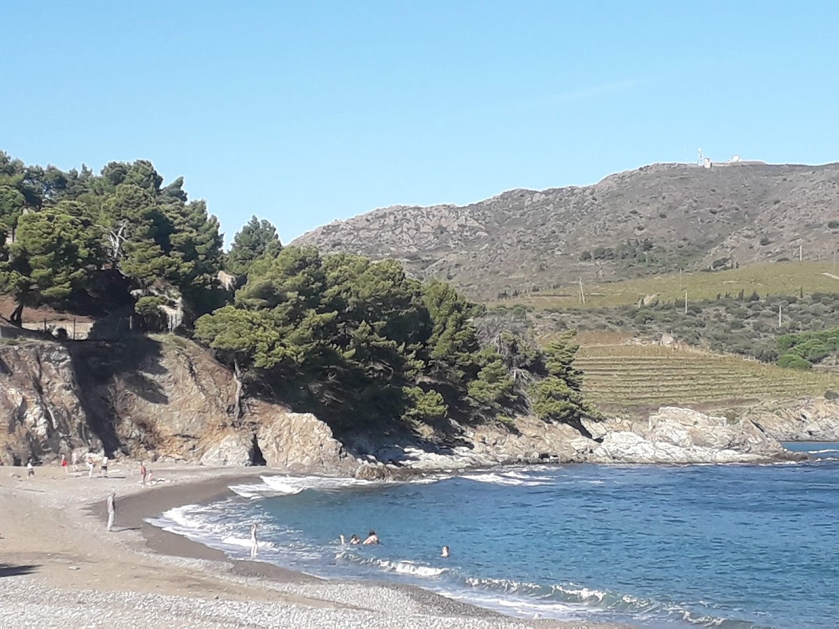 Plage de Paulilles