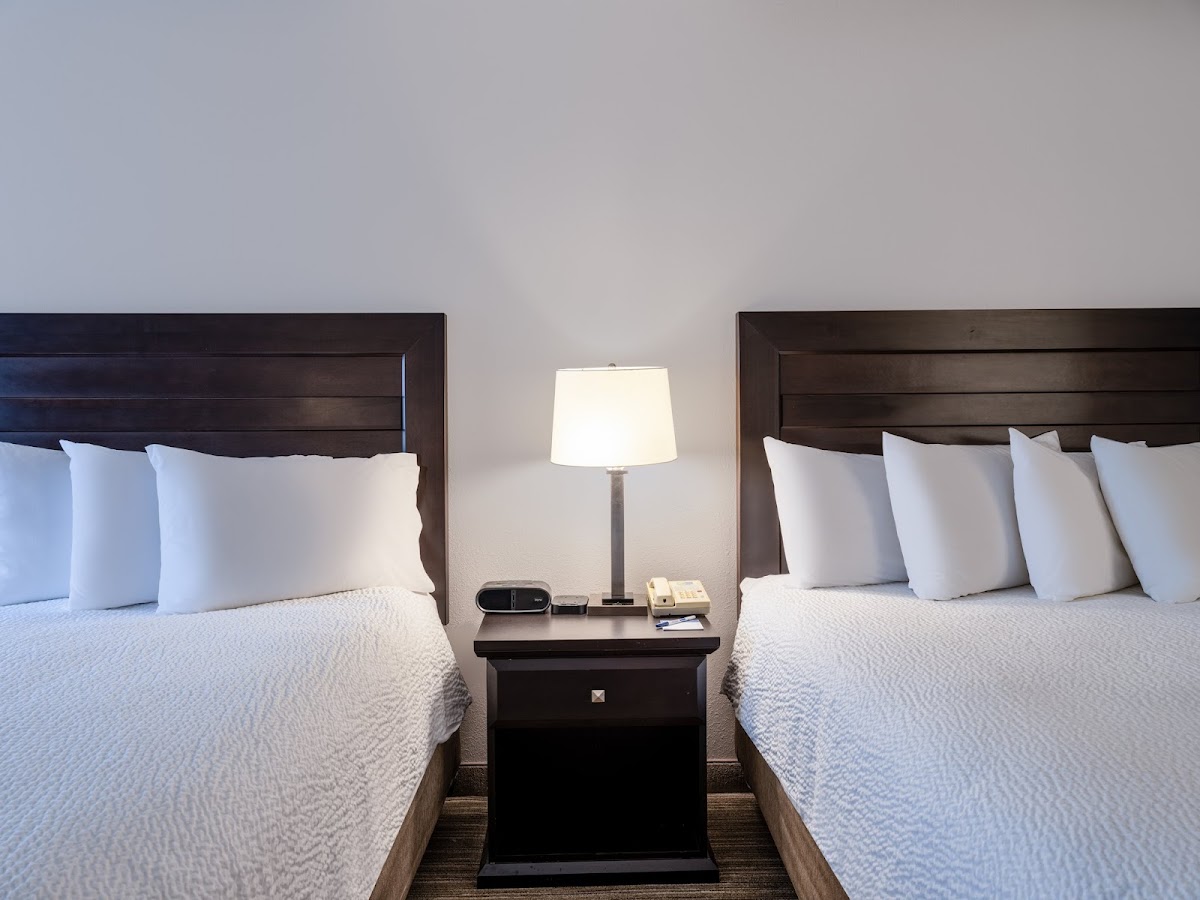 Holiday Inn Express & Suites Chicago-Libertyville by IHG photo 2
