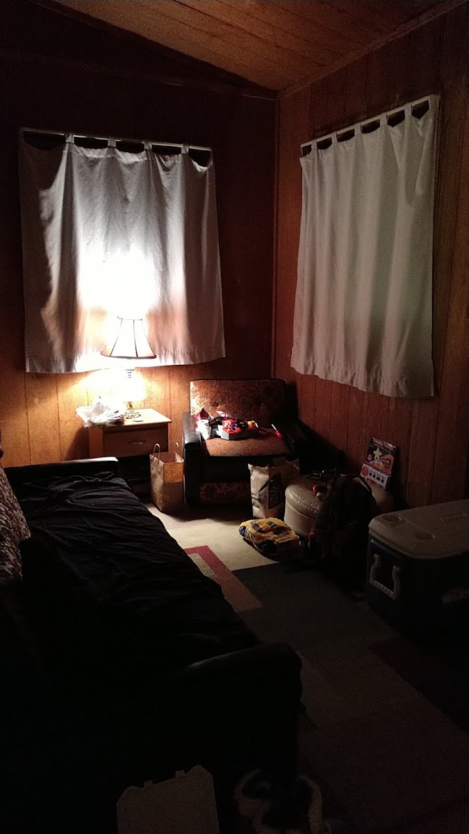 Bear Creek Cabins photo 3