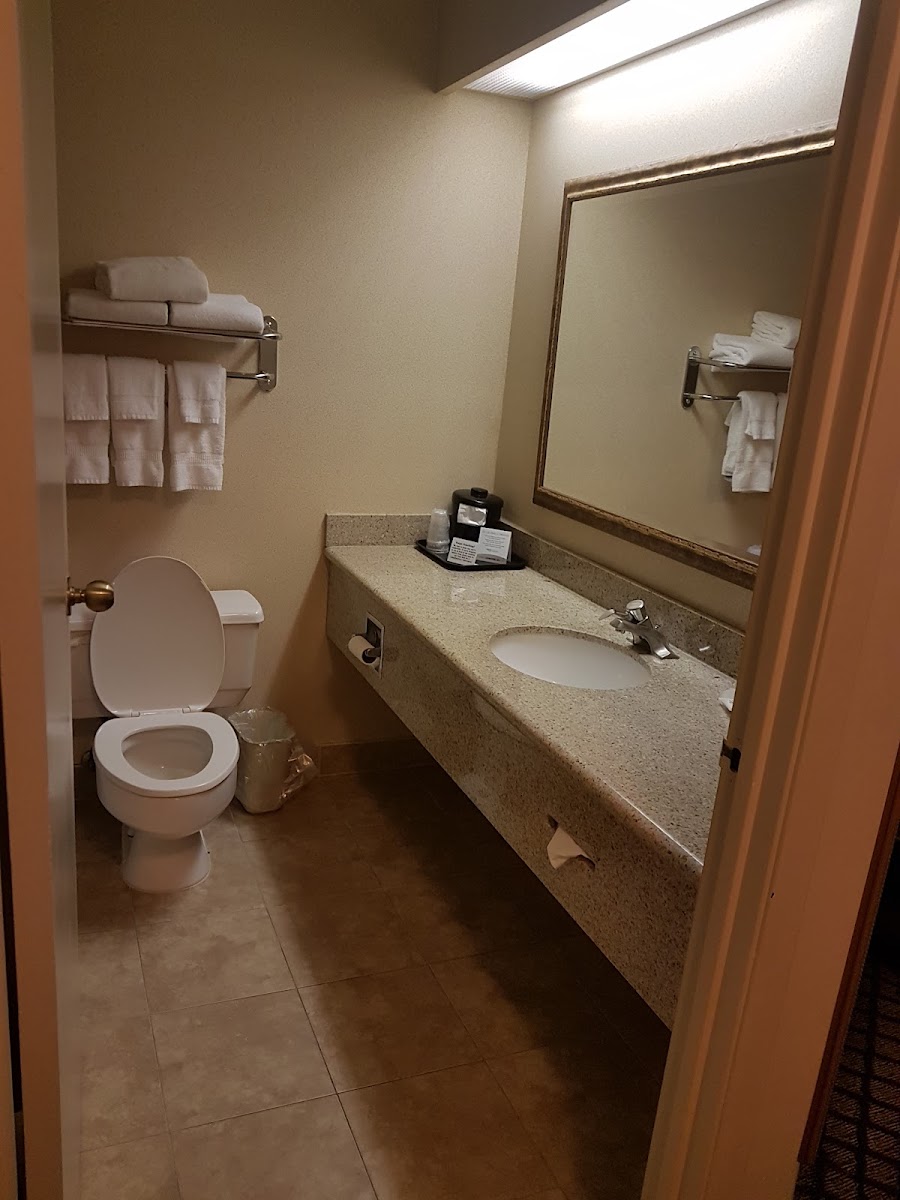 Howard Johnson by Wyndham Toronto Downtown West photo 3